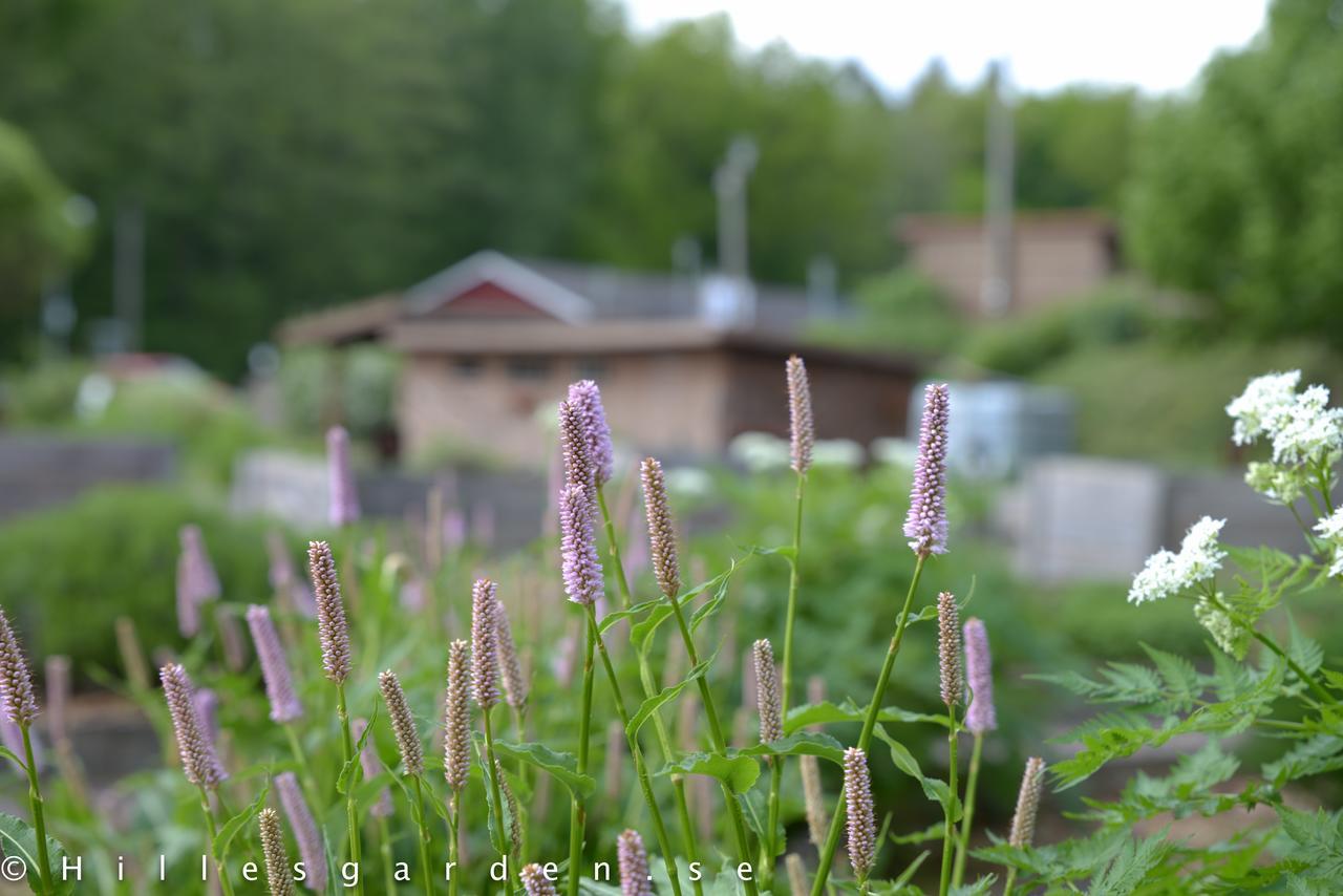 Hillesgarden Hotel Boarp Kültér fotó